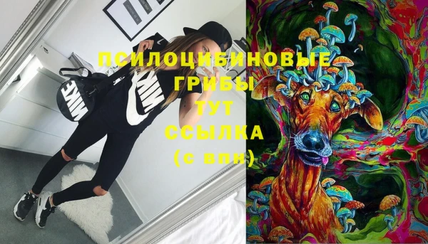 mix Алексин