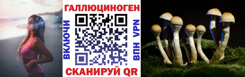 Псилоцибиновые грибы мицелий купить наркотики сайты Котово