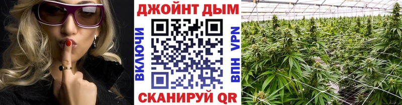 Конопля семена  Котово 